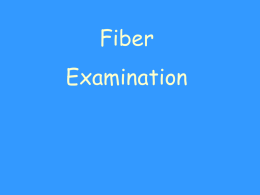 Fiber Examination