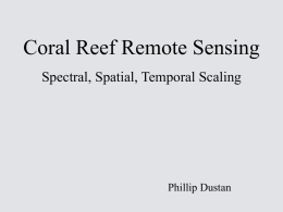 Coral Reef Remote Sensing Spectral, Spatial, Temporal Scaling Phillip Dustan
