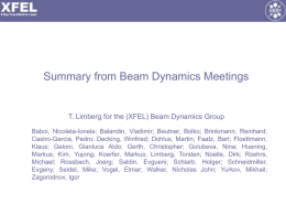 Summary from Beam Dynamics Meetings