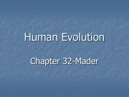 Human Evolution Chapter 32-Mader