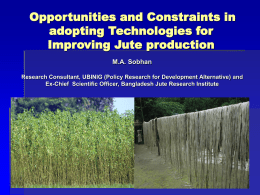 Opportunities and Constraints in adopting Technologies for Improving Jute production M.A. Sobhan