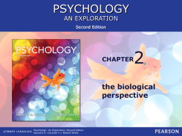 2 PSYCHOLOGY the biological perspective