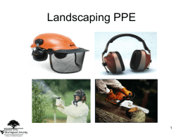 Landscaping PPE 1