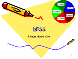 DFSS P. Reyes /Enero 2008 1 20%
