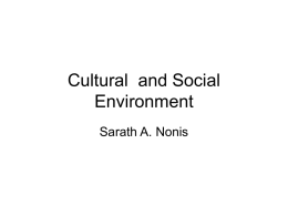 Cultural  and Social Environment Sarath A. Nonis