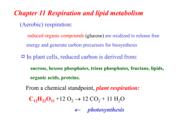 Chapter 11 Respiration and lipid metabolism ¤  (Aerobic) respiration: