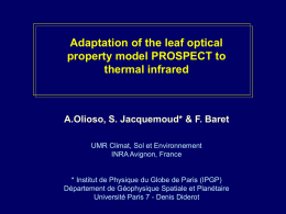 Adaptation of the leaf optical property model PROSPECT to thermal infrared