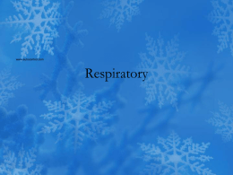 Respiratory www.autocontrol.com