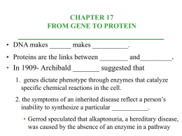 • In 1909- Archibald _______ suggested that CHAPTER 17 FROM GENE TO PROTEIN