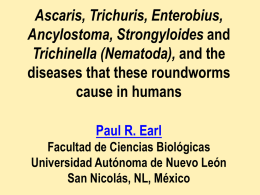 Ascaris, Trichuris, Enterobius, Ancylostoma, Strongyloides Trichinella (Nematoda), diseases that these roundworms