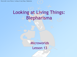 Looking at Living Things: Blepharisma Microworlds Lesson 13