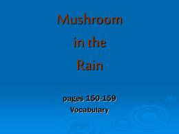 Mushroom in the Rain pages 150-159