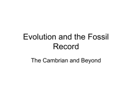 Evolution and the Fossil Record The Cambrian and Beyond