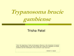 Trypanosoma brucie gambiense Trisha Patel