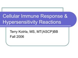 Cellular Immune Response &amp; Hypersensitivity Reactions Terry Kotrla, MS, MT(ASCP)BB Fall 2006