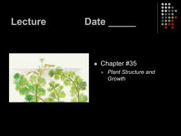 Lecture          ... Chapter #35 Plant Structure and Growth