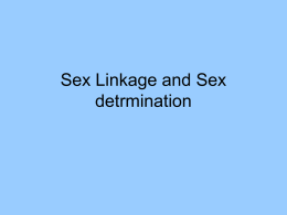 Sex Linkage and Sex detrmination
