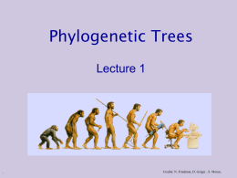 Phylogenetic Trees Lecture 1 . Credits: N. Friedman, D. Geiger , S. Moran,