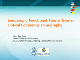 Endoscopic  Functional  Fourier Domain Optical Coherence Tomography