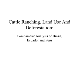 Cattle Ranching, Land Use And Deforestation: Comparative Analysis of Brazil, Ecuador and Peru
