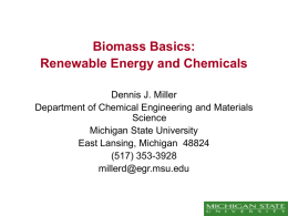 Biomass Basics: Renewable Energy and Chemicals
