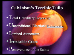 • T • P Calvinism’s Terrible Tulip otal Hereditary Depravity