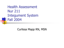Health Assessment Nur 211 Integument System Fall 2004