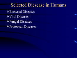 Selected Diesease in Humans Bacterial Diseases Viral Diseases Fungal Diseases
