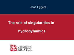 The role of singularities in hydrodynamics Jens Eggers
