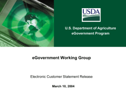 eGovernment Working Group Electronic Customer Statement Release U.S. Department of Agriculture eGovernment Program