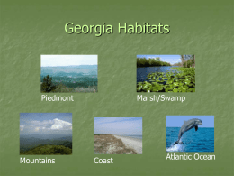 Georgia Habitats Piedmont Marsh/Swamp Atlantic Ocean
