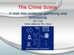 The Crime Scene A look into evidence gathering and processing Mrs. Toth