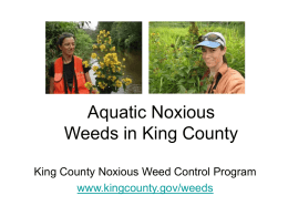 Aquatic Noxious Weeds in King County King County Noxious Weed Control Program www.kingcounty.gov/weeds
