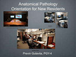 Anatomical Pathology Orientation for New Residents Previn Gulavita, PGY-4