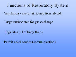 Functions of Respiratory System