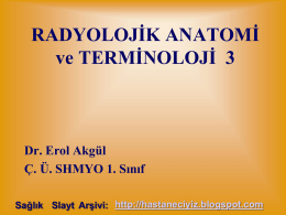RADYOLOJİK ANATOMİ ve TERMİNOLOJİ  3 Dr. Erol Akgül