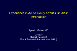 Experience in Acute Gouty Arthritis Studies: Introduction Agustin Melian, MD Director