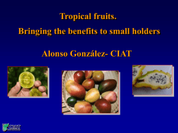 Tropical fruits. Bringing the benefits to small holders Alonso González- CIAT
