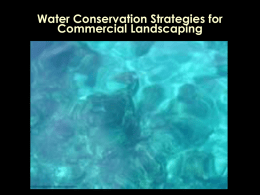 Water Conservation Strategies for Commercial Landscaping