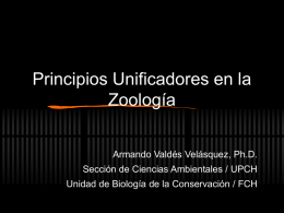 Principios Unificadores en la Zoología