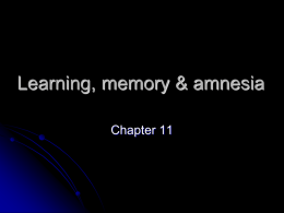 Learning, memory &amp; amnesia Chapter 11