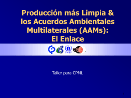 Producción más Limpia &amp; los Acuerdos Ambientales Multilaterales (AAMs): El Enlace