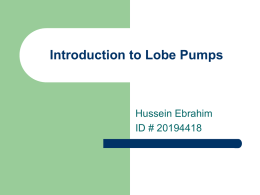 Introduction to Lobe Pumps Hussein Ebrahim ID # 20194418