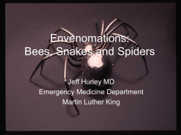 Envenomations: Bees, Snakes and Spiders Jeff Hurley MD Emergency Medicine Department