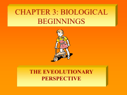 CHAPTER 3: BIOLOGICAL BEGINNINGS THE EVEOLUTIONARY PERSPECTIVE