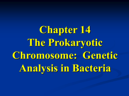 Chapter 14 The Prokaryotic Chromosome:  Genetic Analysis in Bacteria