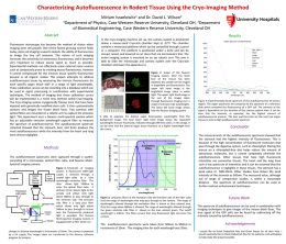 Characterizing Autofluorescence in Rodent Tissue Using the Cryo-Imaging Method