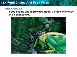 13.4 Food Chains And Food Webs KEY CONCEPT in an ecosystem.