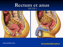 Rectum et anus DCEM 1  www.proktos.com