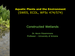 (SWES, ECOL, WFSc 474/574) Constructed Wetlands Aquatic Plants and the Environment